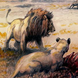 На добыче...