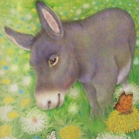 Ослик и бабочки