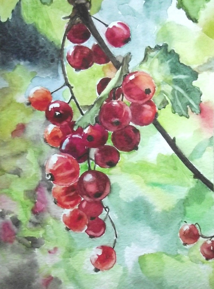 Красная смородина