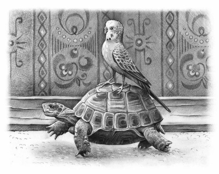 Покатаемся