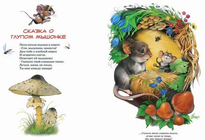 (без названия)