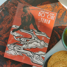 Обложка к книге "ВО СНЕ ТЕНЕЙ"
