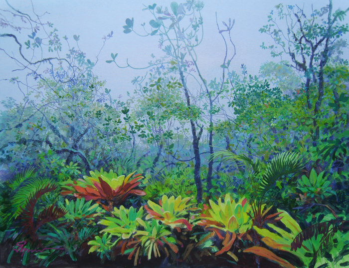 Туманное утро в горном лесу