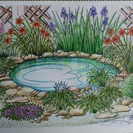 Видовой рисунок к ландшафтному проекту