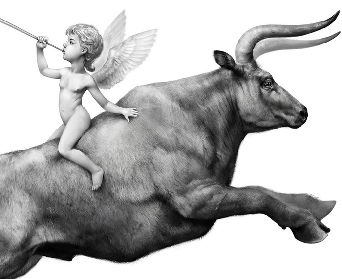 Геральдика для рекламного агентства "Perfetto", Вариант