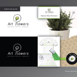 Разработка фирменных силей