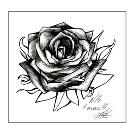 Graphic Rose 