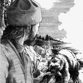 Возвращение росомахи. Илл.10