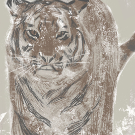 Тигриные скетчи