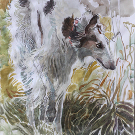 Борзая  Лето-Высь