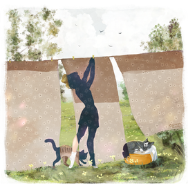 Занавесочки