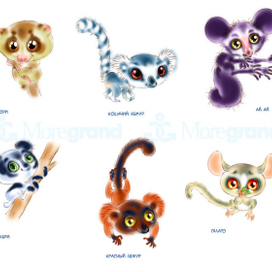 зверики для Moregrand "Весёлые пирамидки"