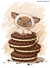 Котик на печеньках