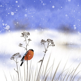 Птицы зимой