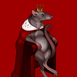 rat_0