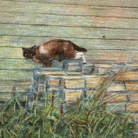 САМ ПО СЕБЕ