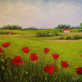 Маковое поле 