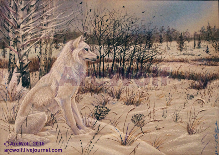 Снежный волк