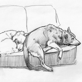 на полу холодно