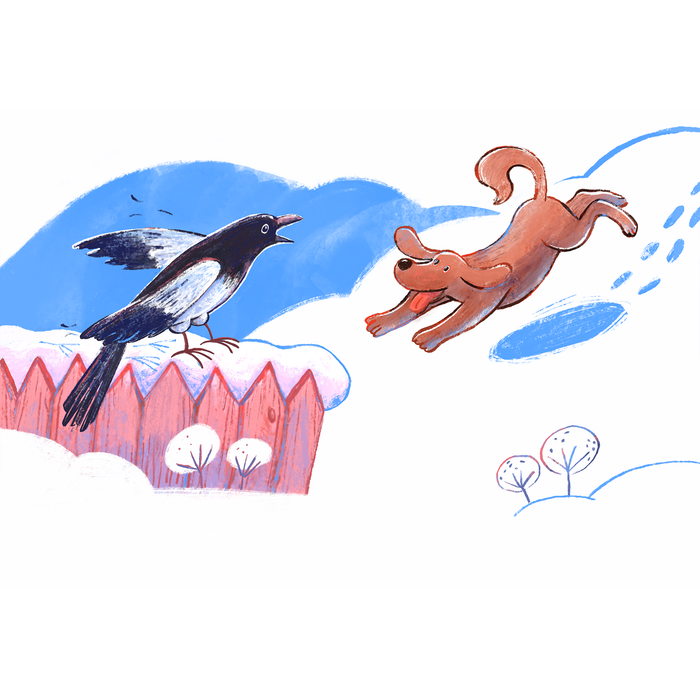 собака хочет поймать сороку