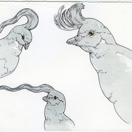 Иллюстрации