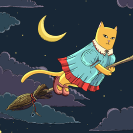 Кошка на метле