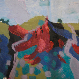 красный гребешок