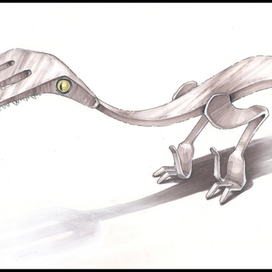 Вилкацараптер