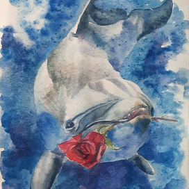 Влюбленный дельфин.
