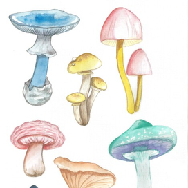 Яркие грибы