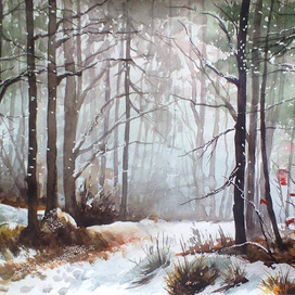 Начало зимы