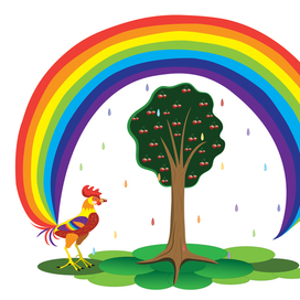 Петух радужный хвост