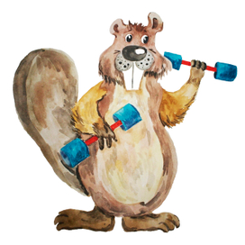 Бобер-спортсмен