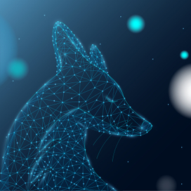 Звездный лис