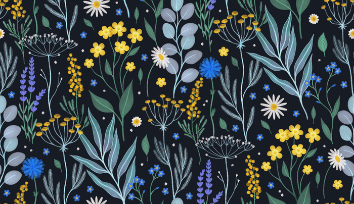 Полевые цветы