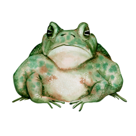 Зелёная жаба