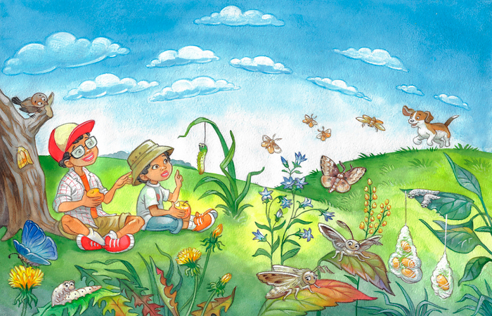 иллюстрация для книги