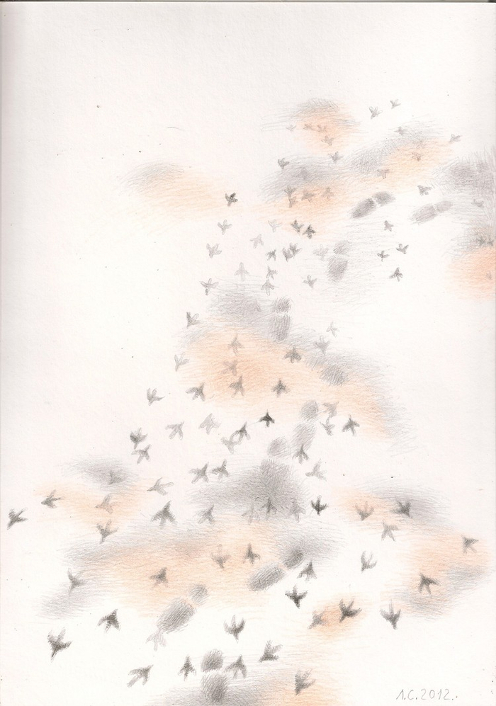 отражение, странники