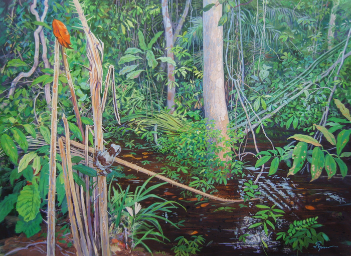 Царевна-лягушка