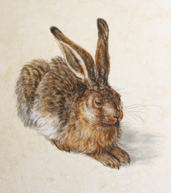 Копия зайца А.Дюрера