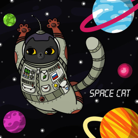 SPACE CAT 🐱