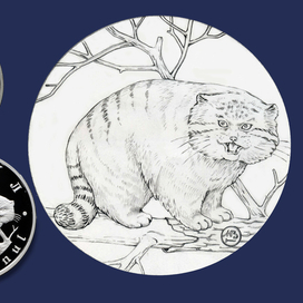 Манул. Серия Красная Книга СССР