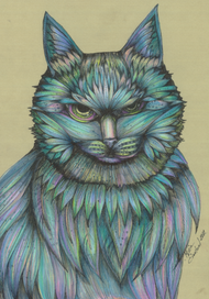 Кот (усы забыл)