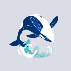 северный полюс