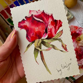 Роза открытка