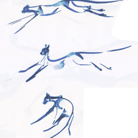 гепард раскадровка