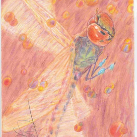 Полет Стрекозы.