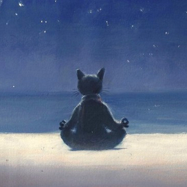 нирвана пустынного пляжа