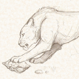 Смилодоны скетчи