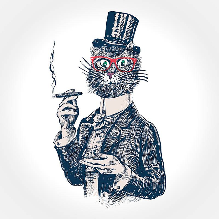 кот джентльмен